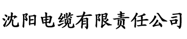 欧美日韩在线亚洲综合国产人电缆厂logo